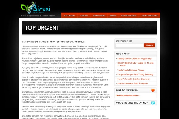 Wisebusiness theme site design template sample
