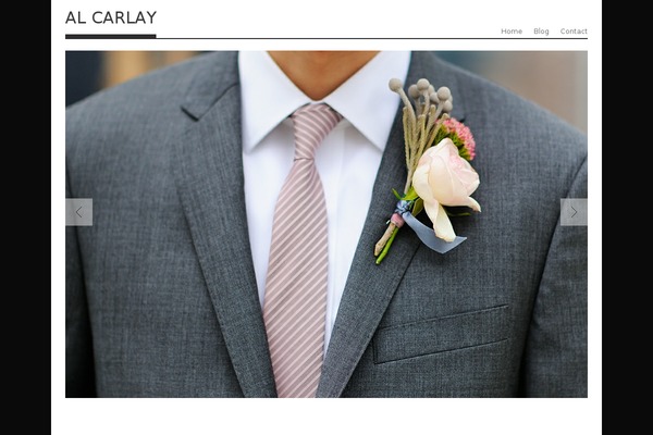 Albedo theme site design template sample