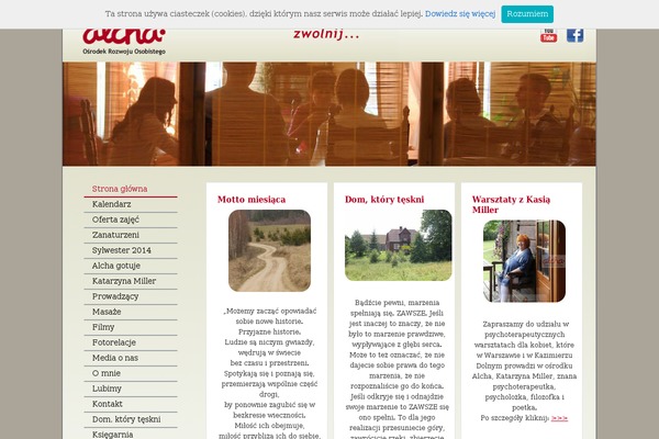 BirdSITE theme site design template sample