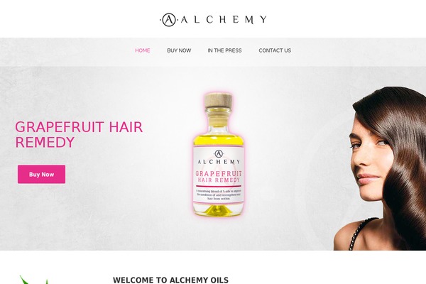 The Company theme site design template sample