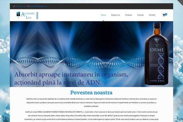BeTheme theme site design template sample