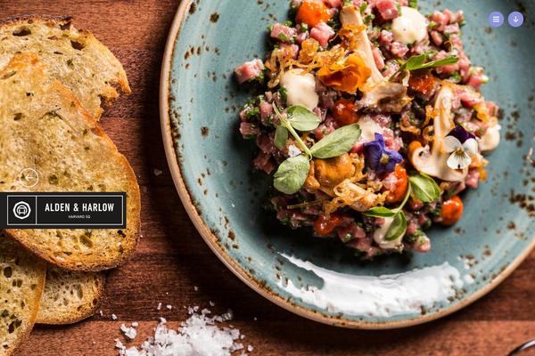 alden theme websites examples