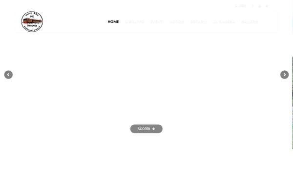 Site using Super Socializer plugin