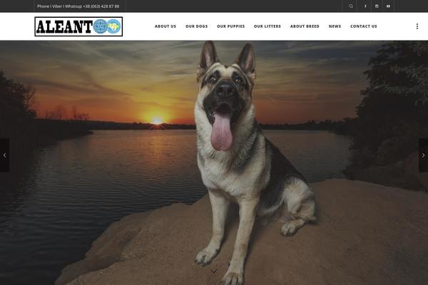 Site using Bold-timeline plugin