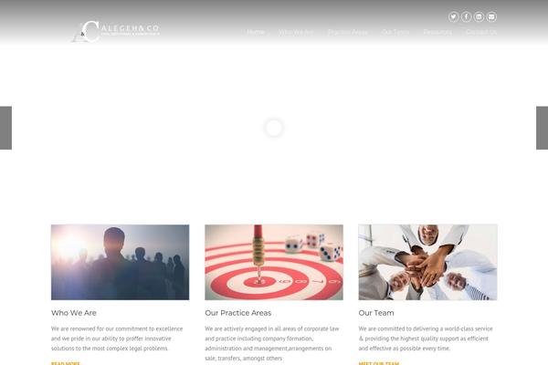 Site using Smartcat_our_team plugin