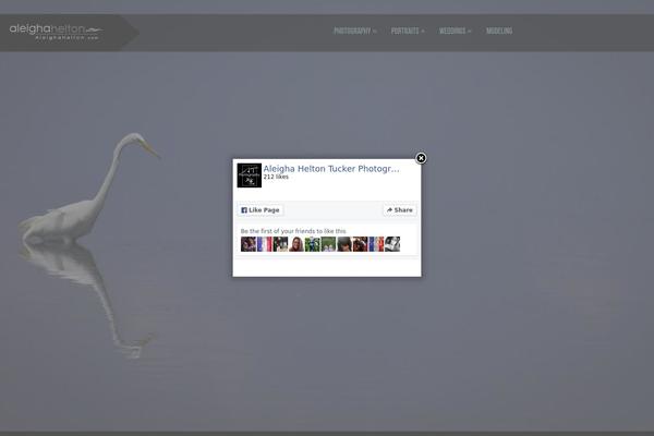 Shuttershot theme site design template sample