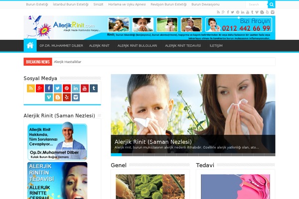 Sahifa theme site design template sample