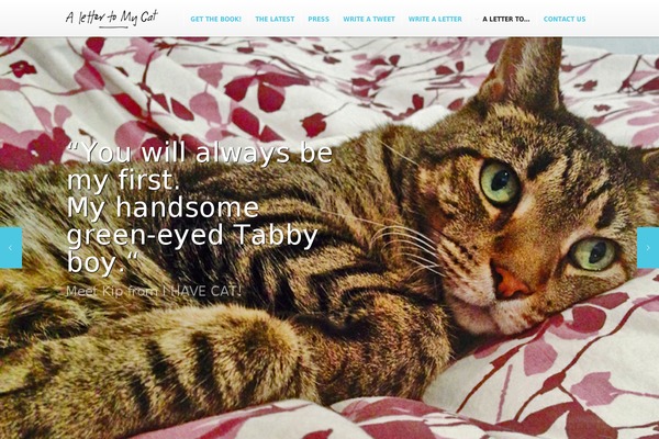 Scroller theme site design template sample