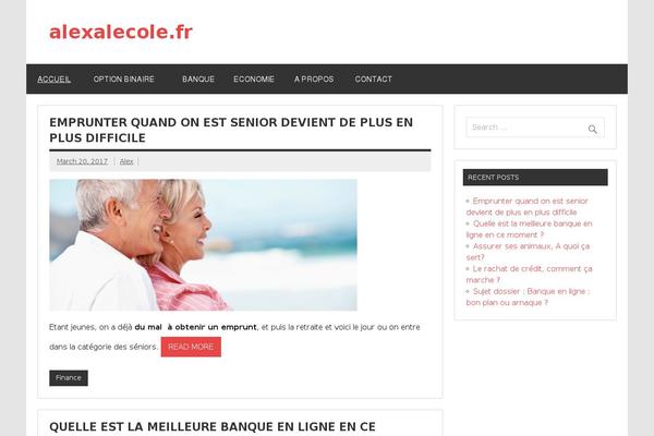 Dynamic News Lite theme site design template sample