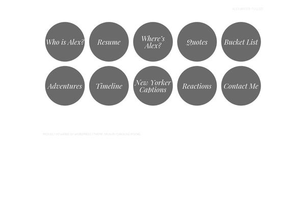 Site using Add Pinterest Follow Button plugin