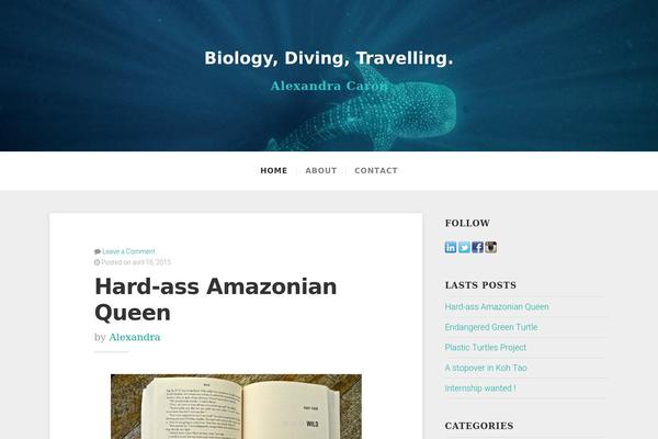 alexandracaron.com site used Swell-lite-master