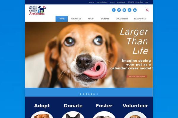 Pet-rescue theme site design template sample