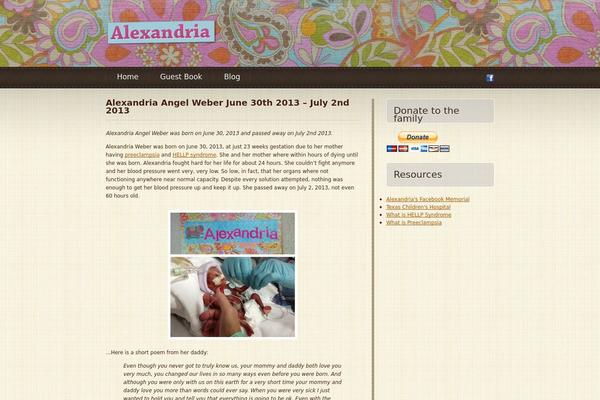 Rayoflight-theme theme site design template sample