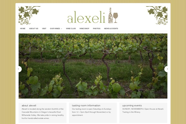 Portfolio theme site design template sample