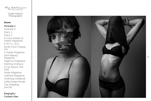 Dimsemenov-touchfolio-c3d30d9 theme site design template sample