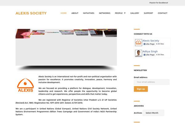 The Company theme site design template sample