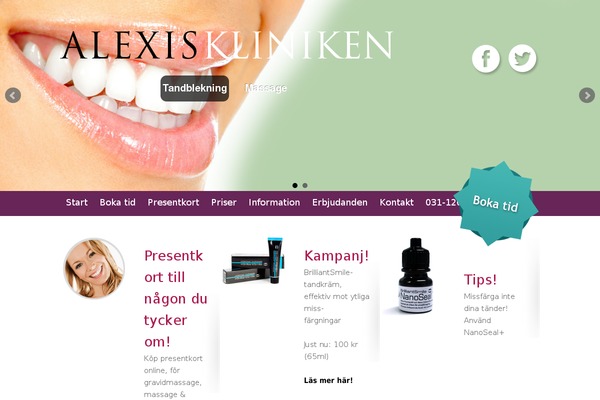 Alex theme site design template sample