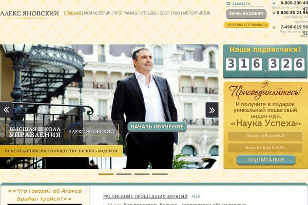 ay theme websites examples