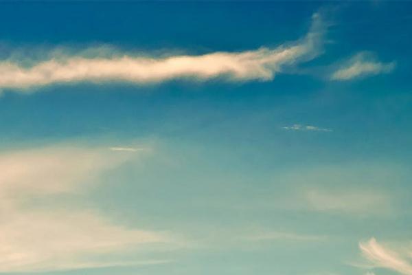Parallax theme site design template sample