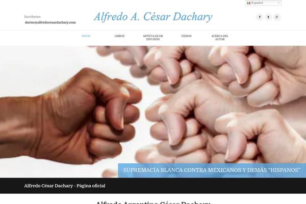 Writer-ancora theme site design template sample