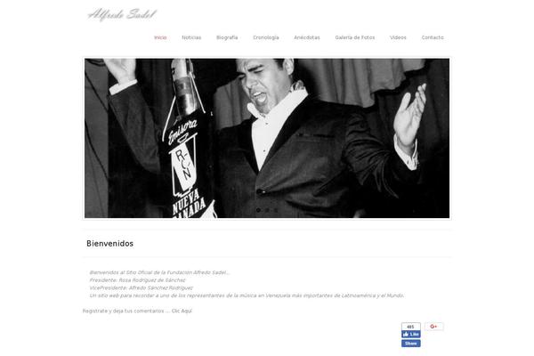 Site using YouTube Simple Gallery plugin