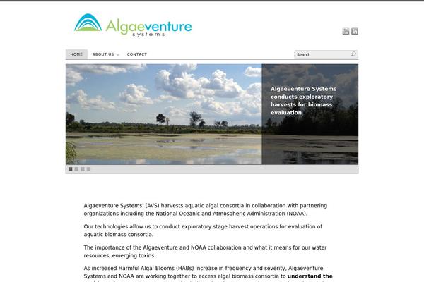 PlatformPro theme site design template sample