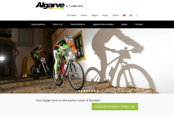 Site using Autoptimize plugin