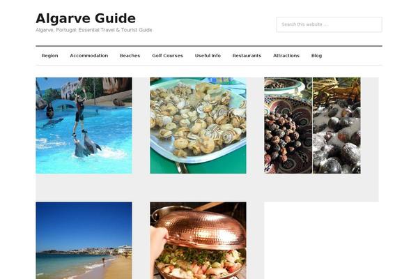 Travel Guide theme site design template sample