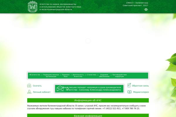 Layout_new theme site design template sample
