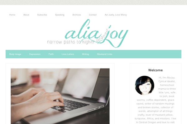 Site using Genesis Social Profiles Menu plugin