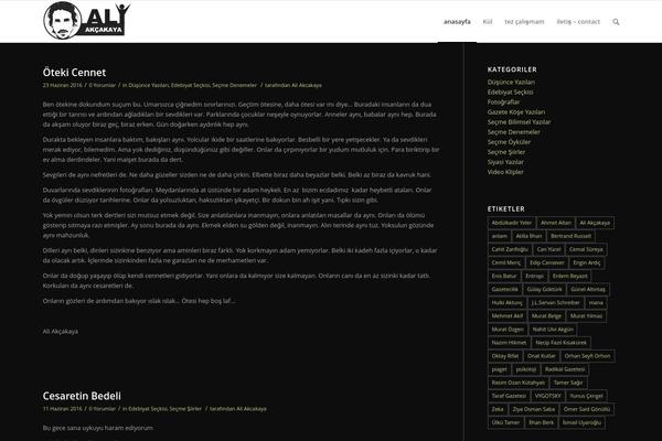 Site using All in One SEO Pack plugin
