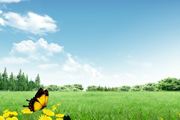 Ut-gogreen theme site design template sample