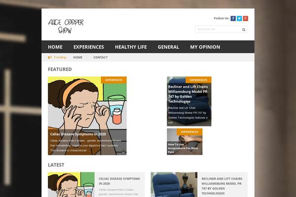 Bookshelf theme site design template sample