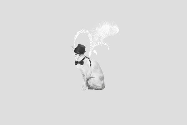 alicefrancis.com site used Ghost Theme