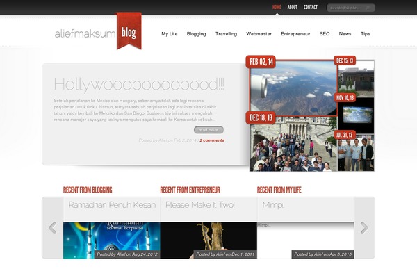 DelicateNews theme site design template sample