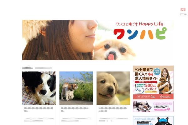 aliel.jp site used Affinger4