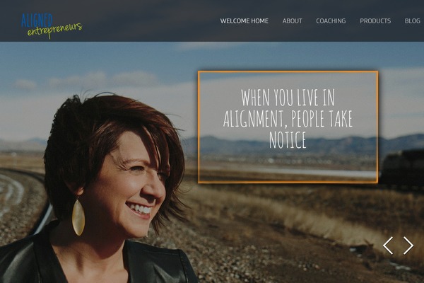 Eleven v1.4 theme site design template sample