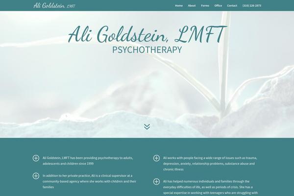 Divi Child theme site design template sample