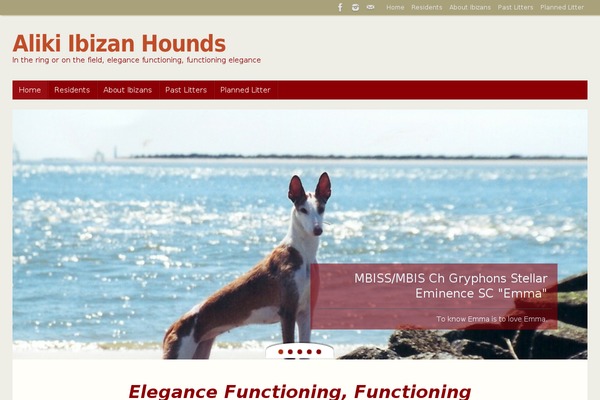 Site using bbPress New Topics plugin