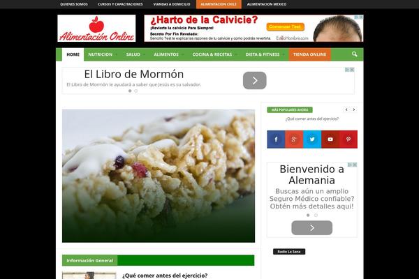 NewsMag theme site design template sample