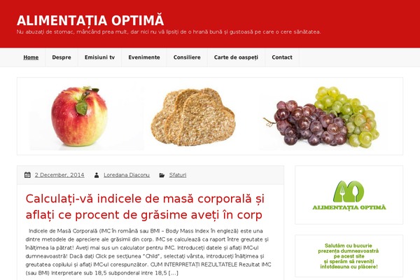Rubine Lite theme site design template sample