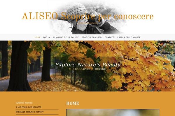 DarkOrange theme site design template sample