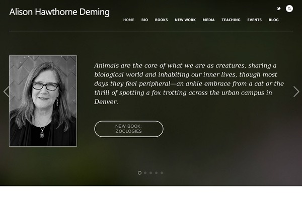 Porcelain theme site design template sample