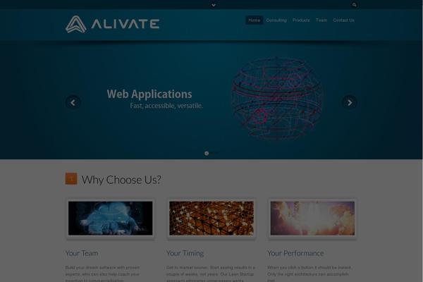 Flare theme site design template sample