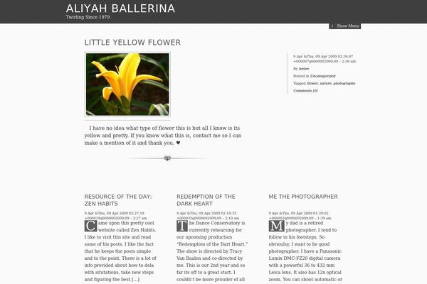 The Erudite theme site design template sample