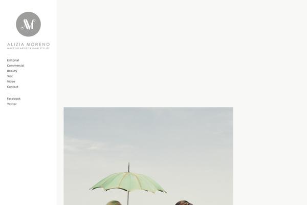 Touchfolio theme site design template sample