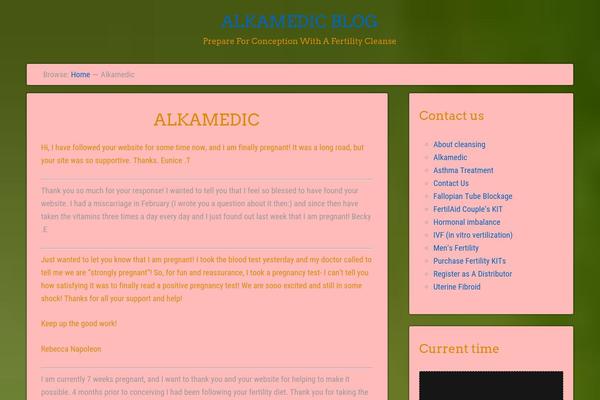 Eino theme site design template sample