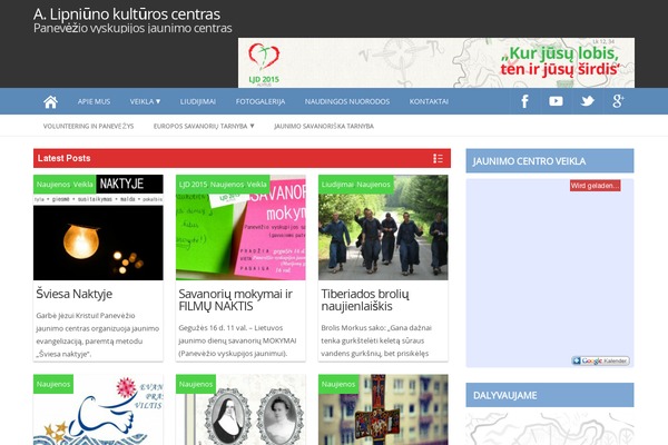 ProMax theme site design template sample