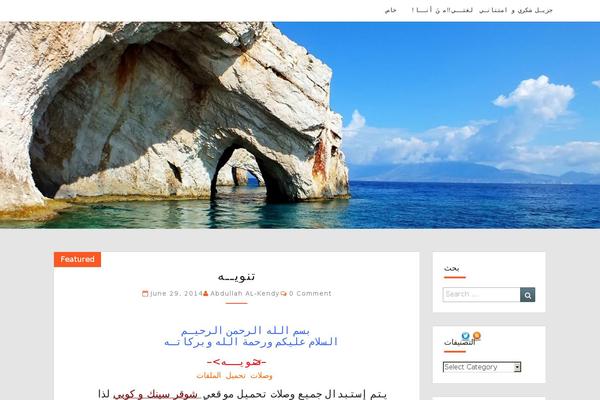 Ashe-pro-premium theme site design template sample
