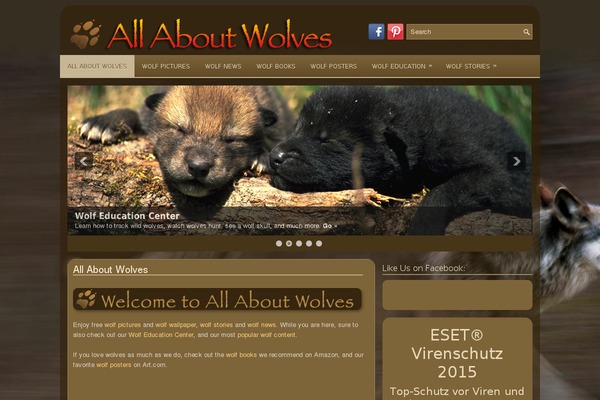 TheHunter theme websites examples